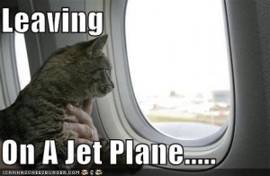 Cat Leaving Jet Plane